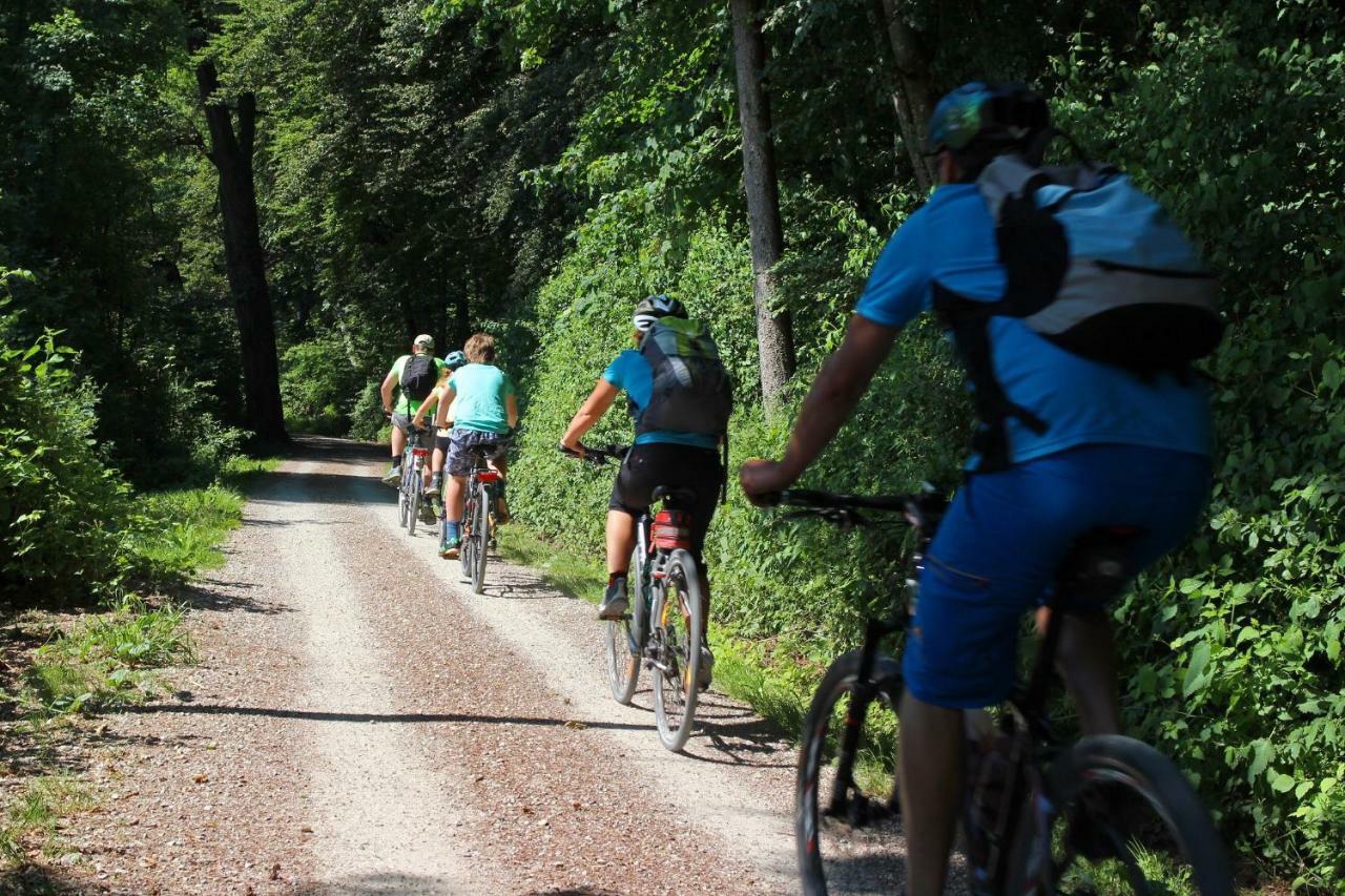 Camping Naeco Audierne Plouhinec  Exteriör bild